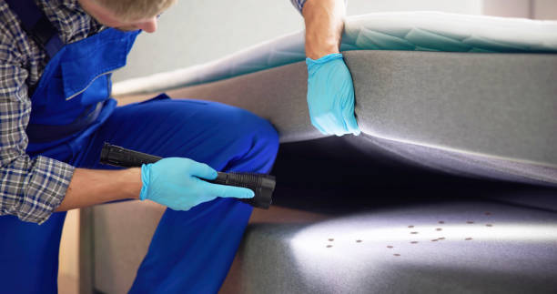 Best Pest Control Near Me  in Morris, AL