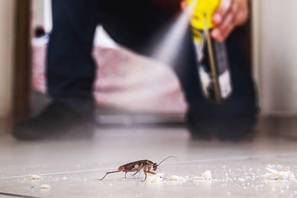 Reliable Morris, AL Pest Control Solutions